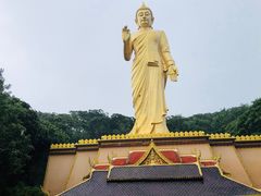 -西双版纳勐泐文化旅游区