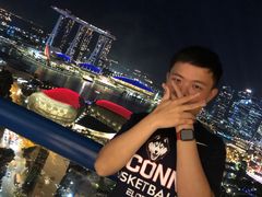 -新加坡瑞士史丹福酒店