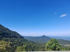 -武陵山森林公园