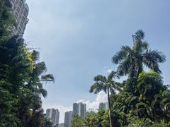 -碧桂园十里银滩