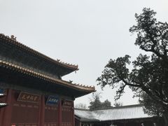 -中岳庙