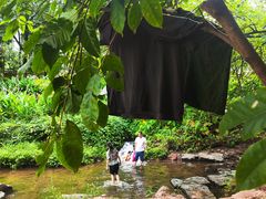 -重庆彩云湖湿地公园