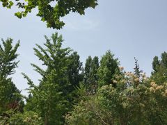 -长安大学(北校区)