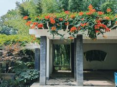 -趵突泉景区