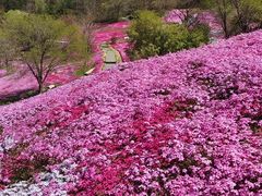 -昆嵛山石门里景区