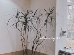 -三仟津花园咖啡馆