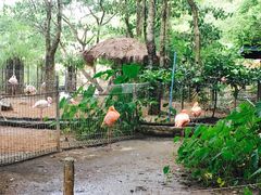 -清迈夜间动物园