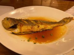 -青岛海景花园大酒店·白果树餐厅青岛菜