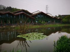 -西湖风景区-江洋畈生态公园