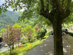 -秦岭终南山世界地质公园翠华山景区