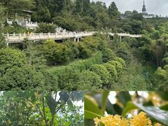 -径山寺