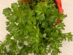 -麻涌飞鸭开心农场