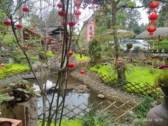 -青城甲(青城山店)