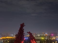 -烛影拾光观景餐厅·创意菜·摄影·小提琴(大唐不夜城店)