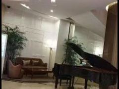 -汕尾巴黎半岛酒店