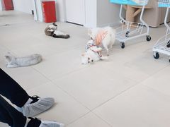 -怪兽屋·羊驼·猫咖·狗咖(俊华广场店)