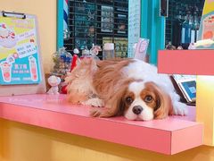 -淘气小姐(歐姆蕾爆乳捲、氣泡飲、甜點、客製化飲品、外送服務)