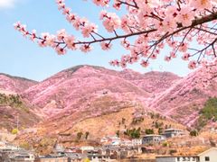 -妙峰山风景名胜区
