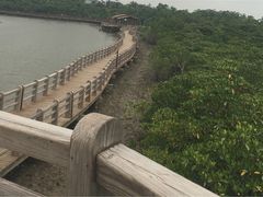 -东寨港红树林旅游区