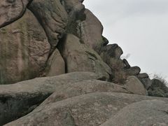 怪石（虎）-巨石山景区