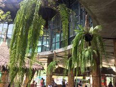 -The Ring Pavilion 魔幻森林