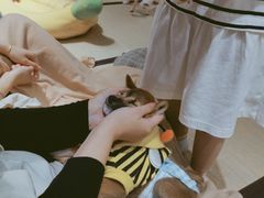 -逗柴咖啡屋·狗咖猫咖宠物桌游