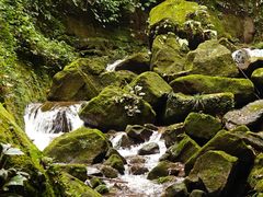 -赤水丹霞旅游区·佛光岩