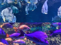 -南昌融创海世界