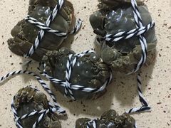 -七的湖·晚芳亭·阳澄湖农家菜·大闸蟹(莲花岛店)