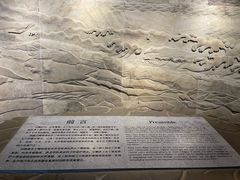 -白鹤梁水下博物馆