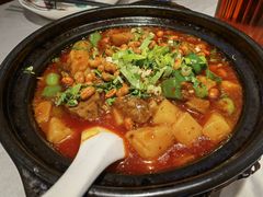 米凉粉烧牛肉-蜀宴小调·精致家常菜(科华店)