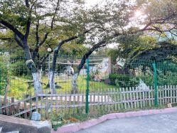 -晴川假日酒店·宴会厅·会议厅