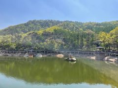 -沂蒙山旅游区云蒙景区(蒙山国家森林公园)