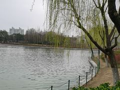 -大宁郁金香公园-停车场