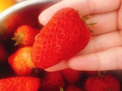 -鑫福隆生鲜超市(沈营大街店)