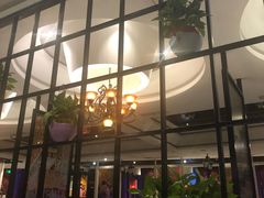 -高第街56号港式餐厅(泰华城店)