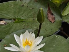 -杭州植物园