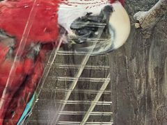-武汉动物园