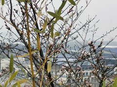 -幕燕滨江·长江观音景区
