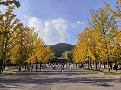 -晋祠公园