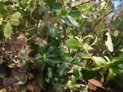 -上海昆虫博物馆