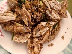 -四姑娘川味海鲜(八爪鱼店)