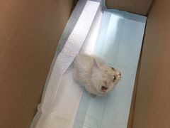 -畜牧兽医站(共江路店)