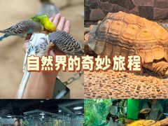 -上海大自然野生昆虫馆(东方明珠·爬宠昆虫探索中心)
