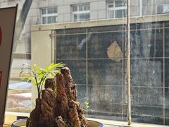 -大顺堂食府(牛街店)