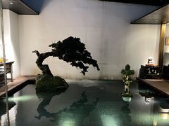 -觀芷隐轩