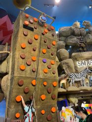 -卡通尼·Safari非洲探索乐园·生日会(金桥国际商业广场店)