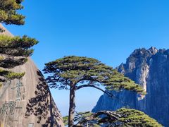 -黄山风景区