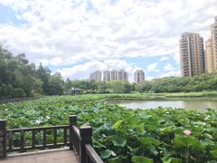 -金山公园