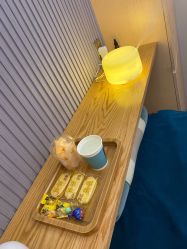 -PE SALON 